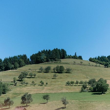 Moderne 2 Zi.-Fewo Blackforest Art Barrierefrei Naehe Freiburg Simonswald Exteriör bild