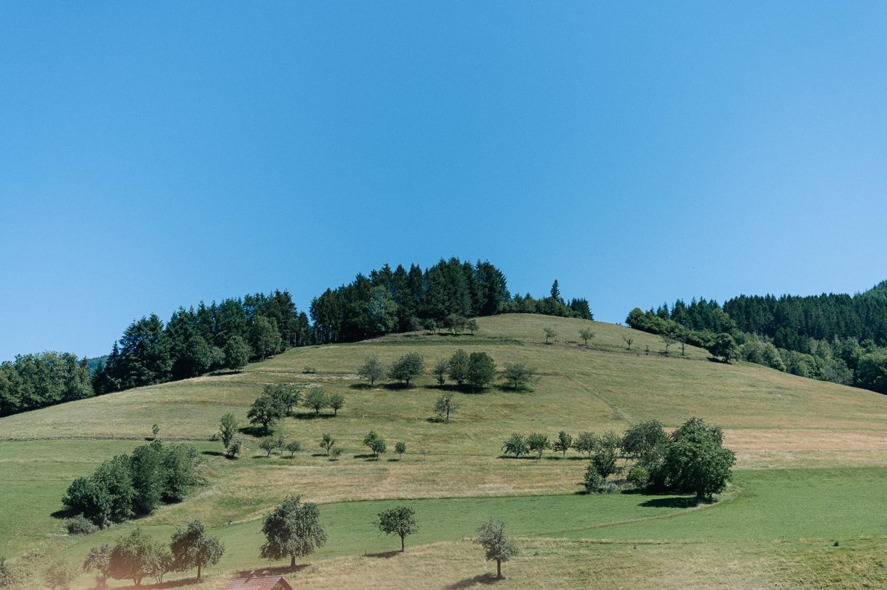 Moderne 2 Zi.-Fewo Blackforest Art Barrierefrei Naehe Freiburg Simonswald Exteriör bild